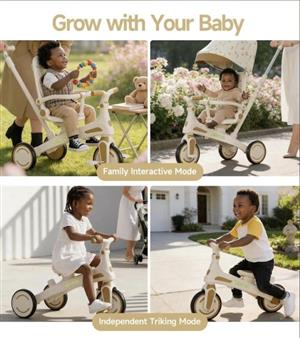6 in 1 Push Trike kids