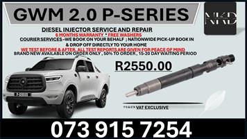GWM P-Series Diesel Injectors 
