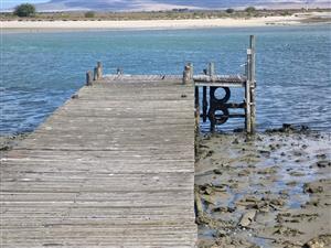 Affordable Plot on the Beautiful West Coast! 🌊