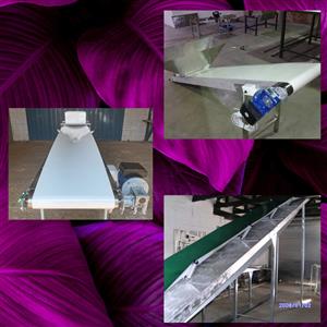 Speed where you need it — conveyors with or without speed control for precise th