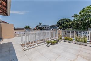 ON SHOW BY APPT THIS SUNDAY