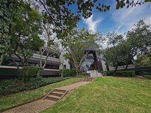 Office space to let on the Ground floor in The Woodlands Office Park