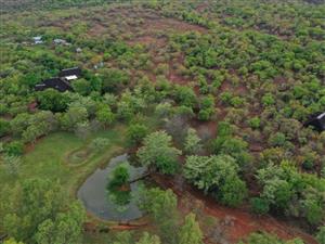 Self Sustainable Lifestyle Farm