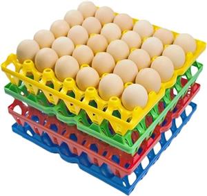 EGG TRAYS ( Without eggs )