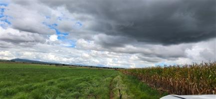 408ha Farm for Sale in Modimolle area!