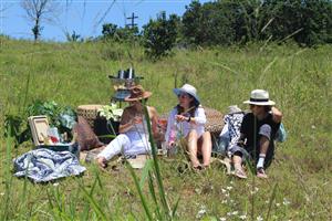 WELCOME TO SEATON ESTATE