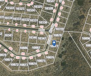 If you need me, call me on my shell