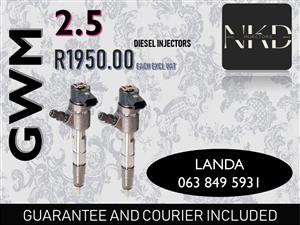 GWM 2.5 DIESEL INJECTORS VENTERSBURG FREE STATE 