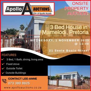 Upcoming Auction In Mamelodi
