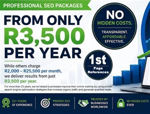 Professional SEO Packages 