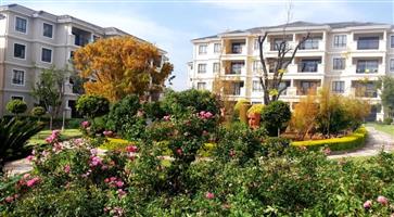 House For Sale in Noordwyk