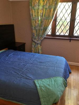 Curtains , tie backs and comforter