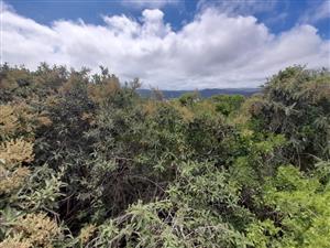 Vacant Land Residential For Sale in Wilderness Central