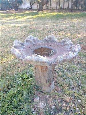 Bird baths/feeders