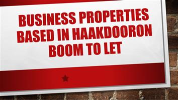BUSINESS PROPERTIES BASED IN HAAKDOORON BOOM TO LET
