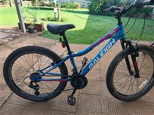 24"Ralleigh Mountain Bike 