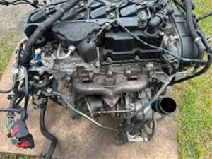 FORD FOCUS ENGINE