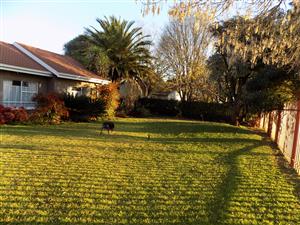 Family home on Large Stand