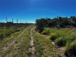 Farm For Sale in Langholm