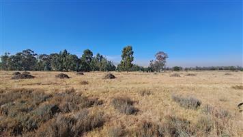 1 Hectare of Land for Sale Near Heidelberg – Ideal for Investment