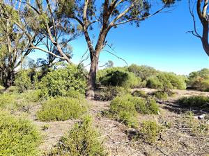 Build your dream home by the sea!