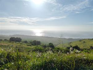 Seaton Estate: Exclusive Coastal Living on the KZN North Coast