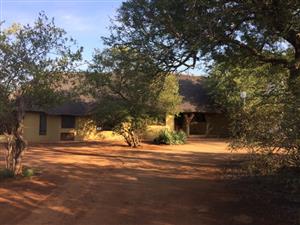 You’ve arrived to the peace and tranquility of the African bush!