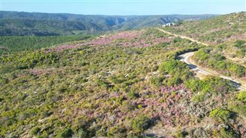 Exclusive Mandate | Vacant Land for Sale in Pezula Private Nature Estate – Knysna