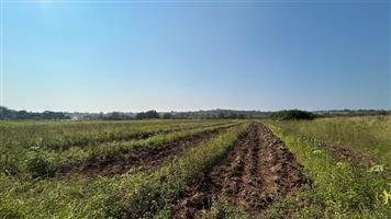Farm For Sale in Tzaneen Rural