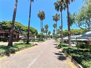 Weltevreden Park A‑Grade Offices To Let in Constantia Park