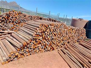 1.2m class 3 [80-99mm  repurpose treated poles