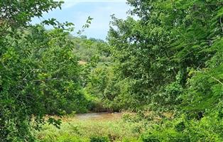 Vacant Stand in Elephant Rock Eco Estate
