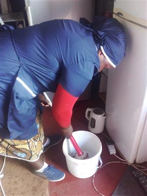 ZIMBABWEAN MAID SEEKS WORK 