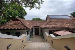 Peaceful Zimbali Forest Retreat