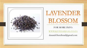 Lavender Blossom Botanicals for Gin 