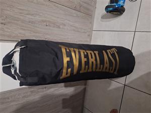 Everlast boxing bag