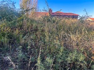 Vacant land in Baillie Park