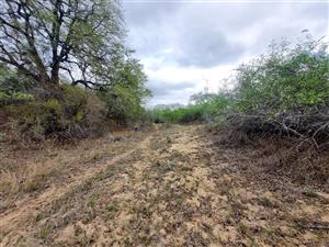 Beautiful Riverfront Stand