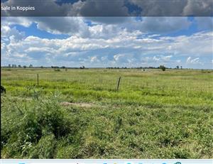 Farm For Sale in Koppies