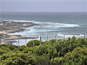 Two Oceans. One Rare Stand. Agulhas Nature Reserve