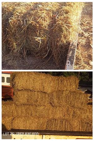 Grass bales for sale.small blok bales