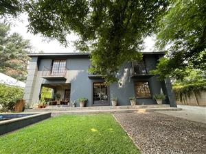 A Unique Artistic Family Home Set Amongst Majestic Trees