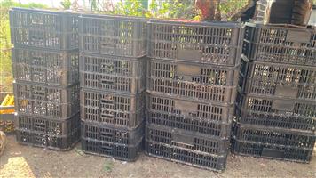 Poltek Chicken Transport Cage
