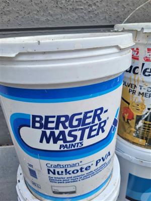 Bergermaster paint 20L