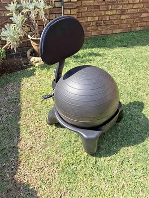 Ergonomic stability Yoga ball chair with adjustable backrest.