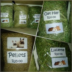 teff hay for rabbits