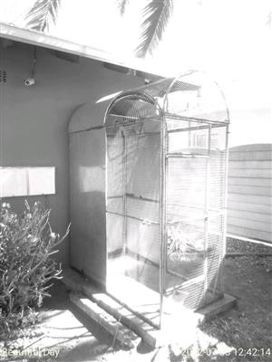 Bird cages with 4 budgies 