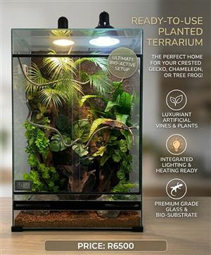 Ready to use reptile enclosure