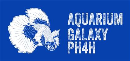 Manufacturing koiPond Aquariums custom