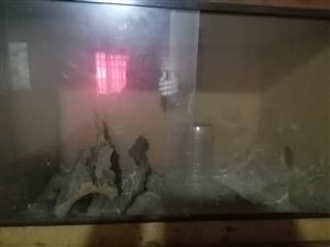 Snake cage for sale